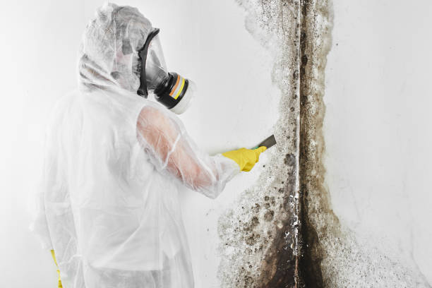 Best Crawl Space Mold Removal  in Warm Springs, OR